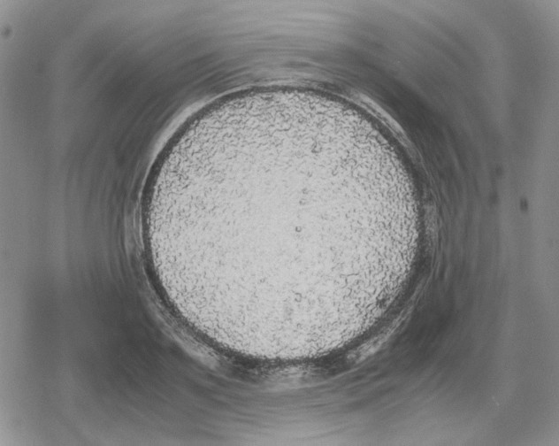 X0000079320891200612151814