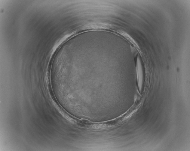 X0000079320893200612151814