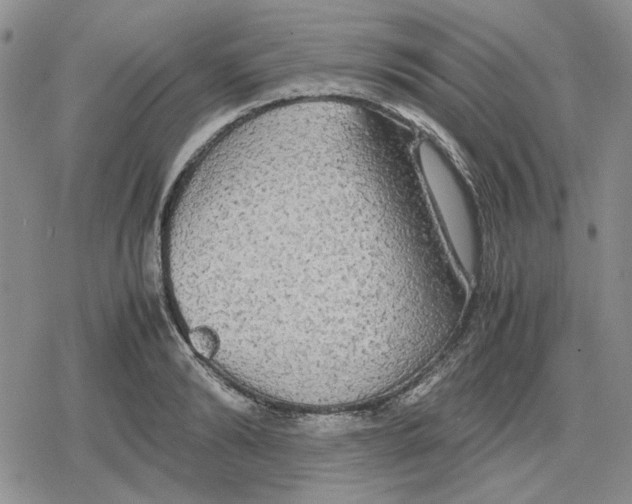 X0000079320894200612151814