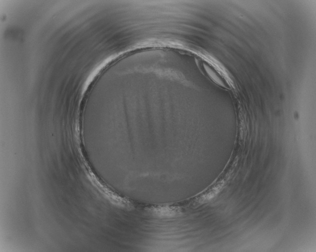 X0000079320896200612151814