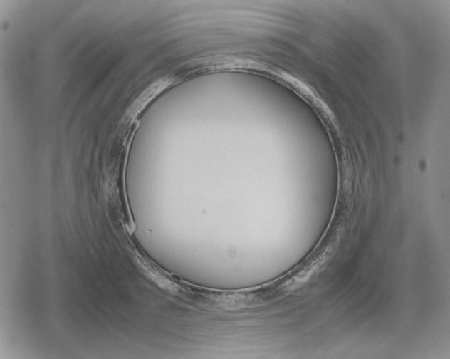 X0000079320897200612151814