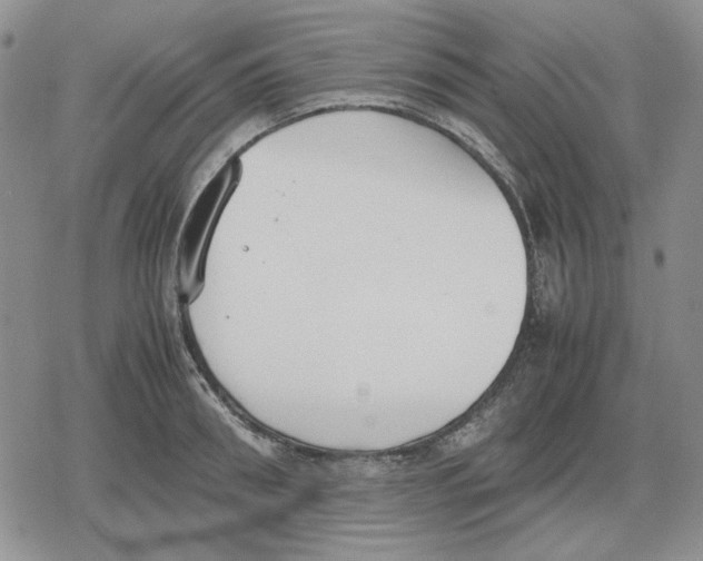 X0000079320898200612151814