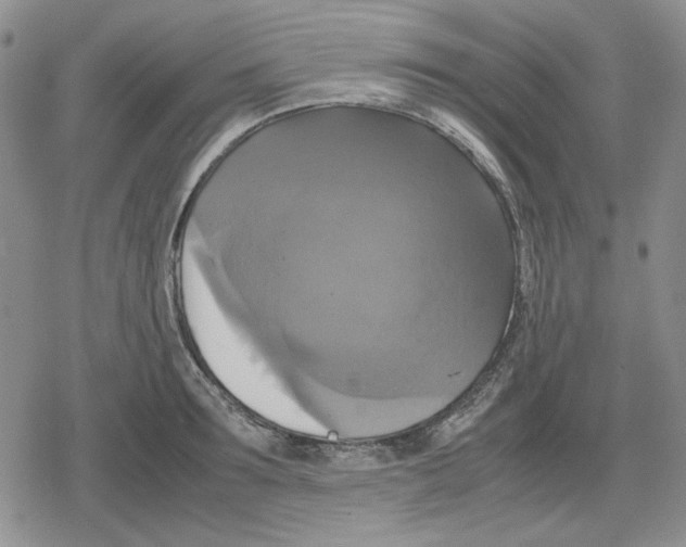 X0000079320899200612151814