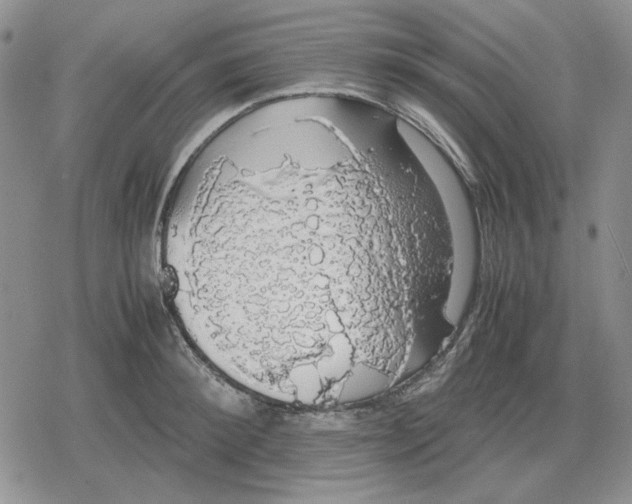 X0000079320900200612151814