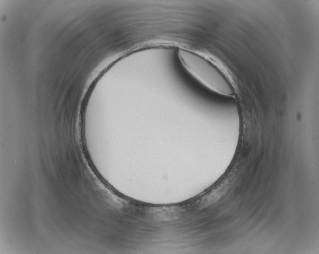 X0000079320902200612151814