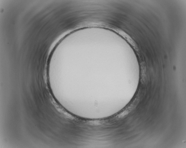 X0000079320904200612151814