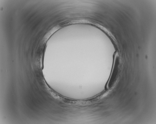 X0000079320905200612151814