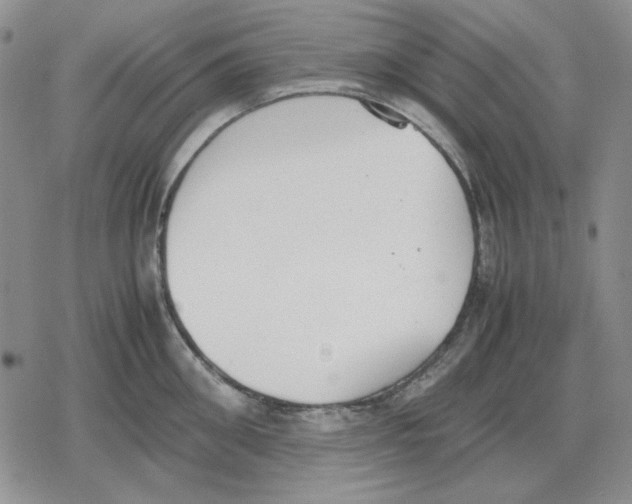 X0000079320906200612151814