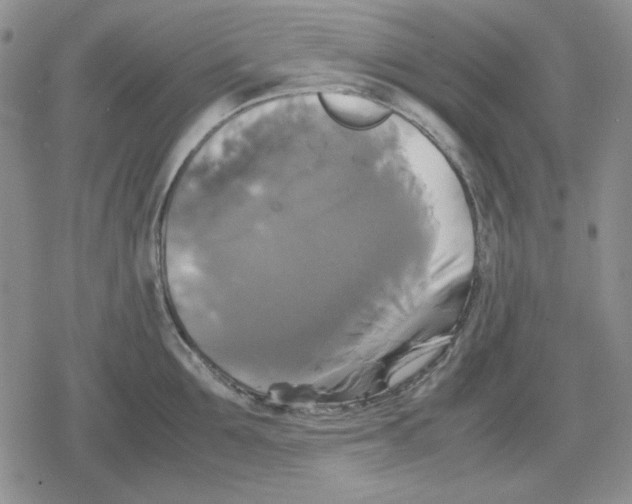 X0000079320907200612151814