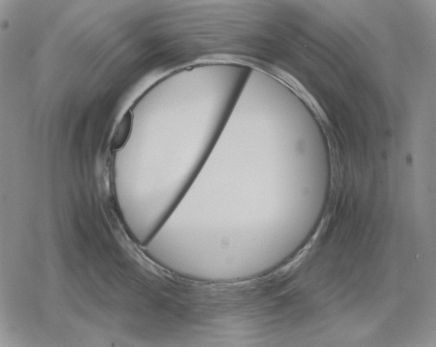 X0000079320908200612151814