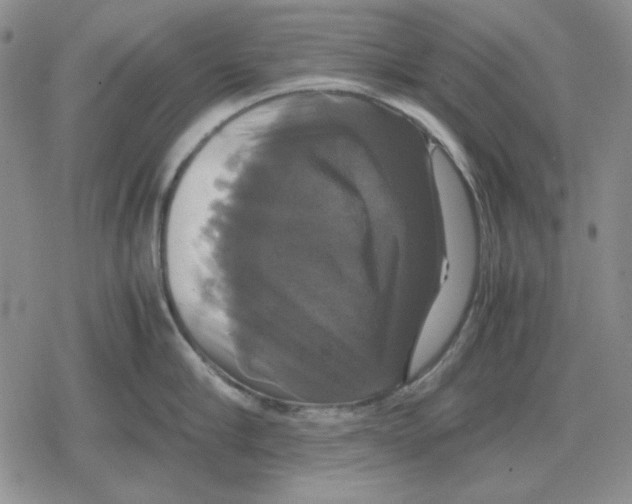 X0000079320910200612151814