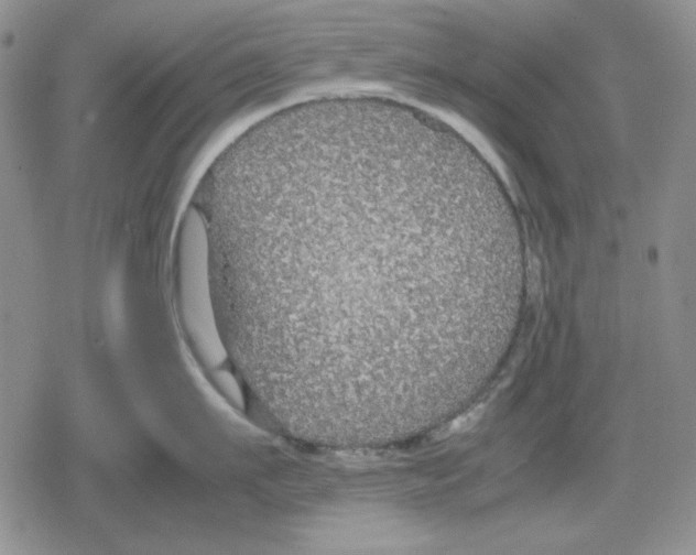 X0000079320911200612151814