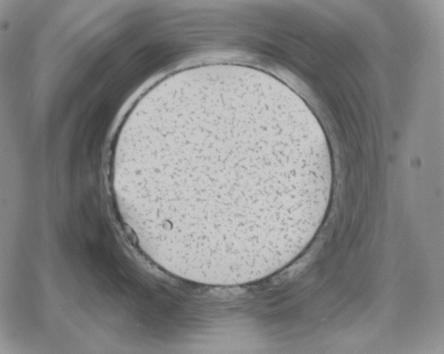 X0000079320912200612151814