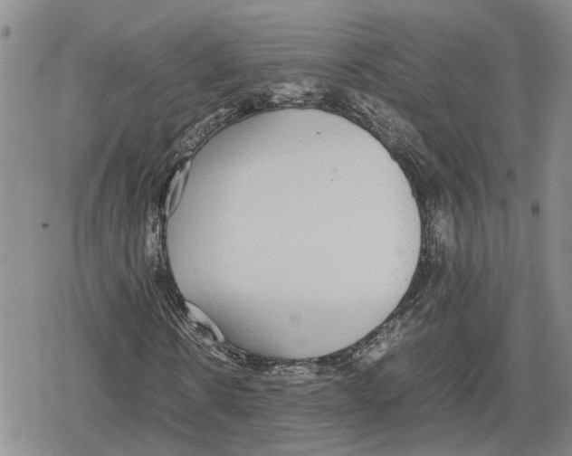 X0000079320914200612151813