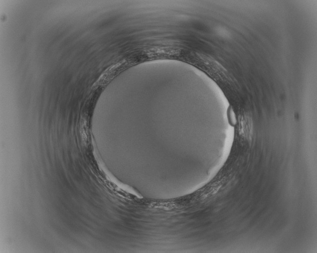 X0000079320915200612151813