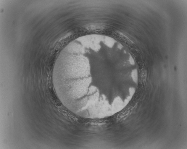 X0000079320917200612151813