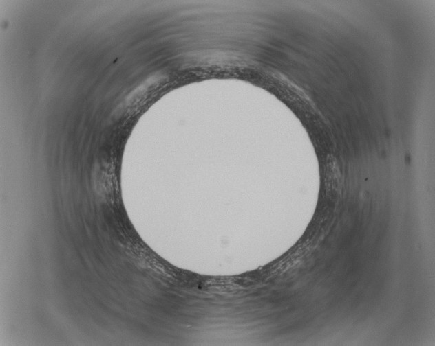 X0000079320918200612151813