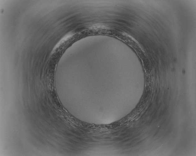 X0000079320919200612151813