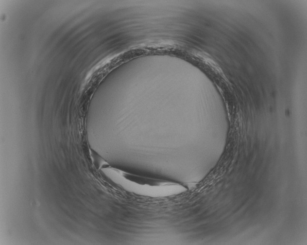 X0000079320920200612151813