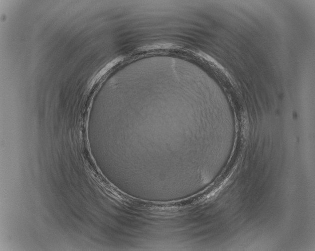 X0000079320921200612151813