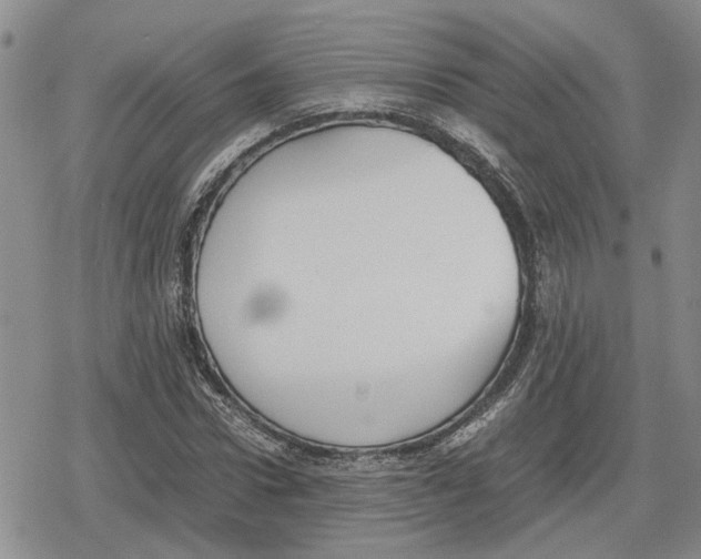 X0000079320922200612151813