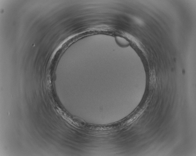 X0000079320923200612151813