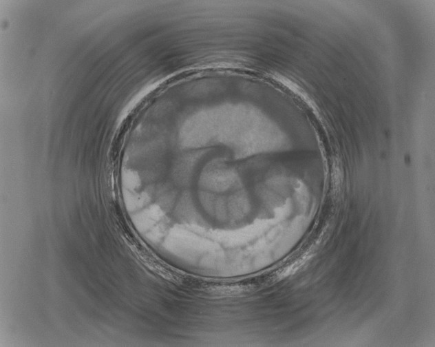 X0000079320925200612151813