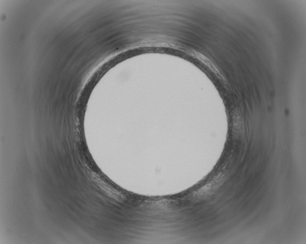 X0000079320926200612151813