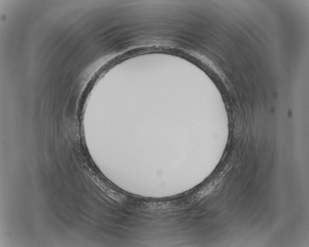 X0000079320927200612151813