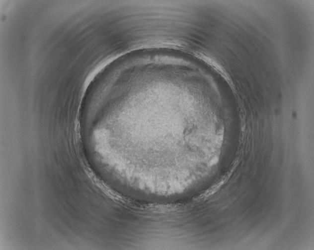 X0000079320928200612151813