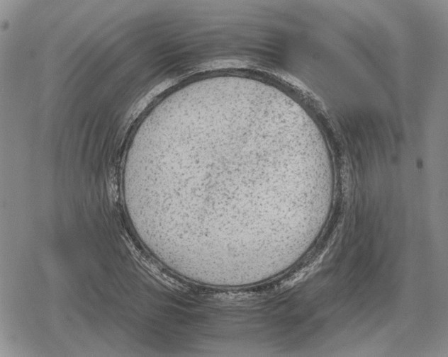 X0000079320929200612151813