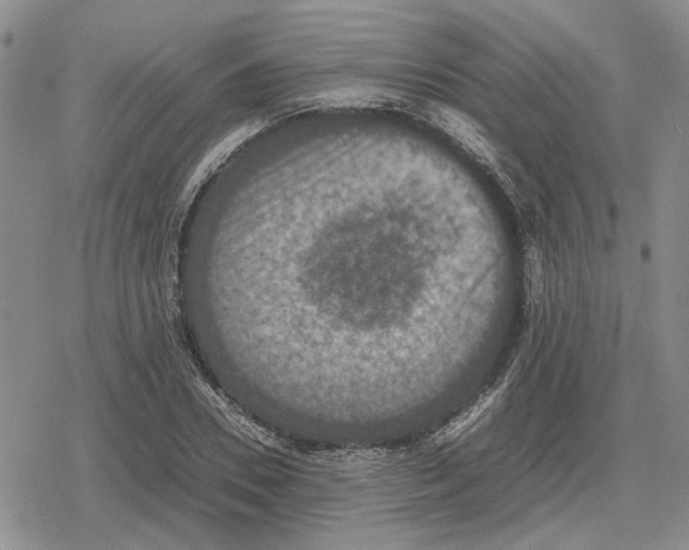 X0000079320930200612151813