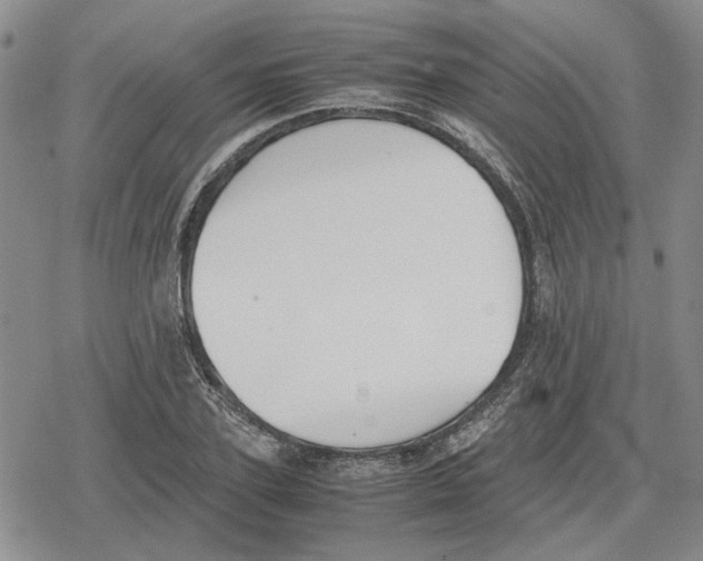 X0000079320931200612151813