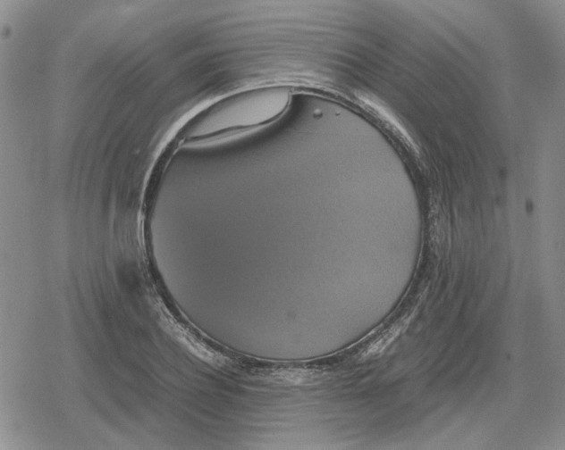 X0000079320932200612151813