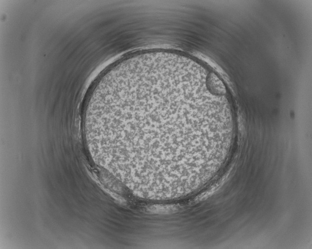 X0000079320933200612151813