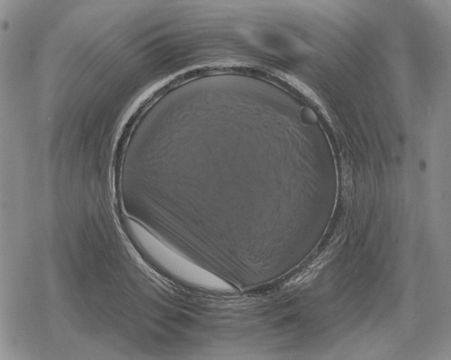 X0000079320935200612151813