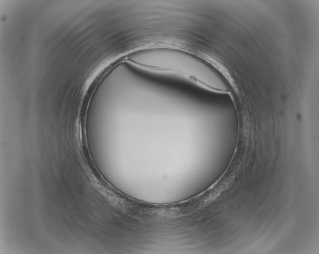 X0000079320936200612151813