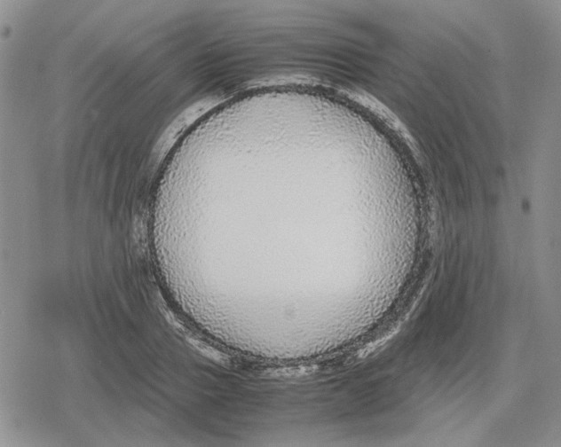 X0000079320937200612151814