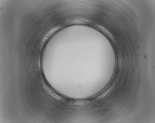 X0000079320938200612151814