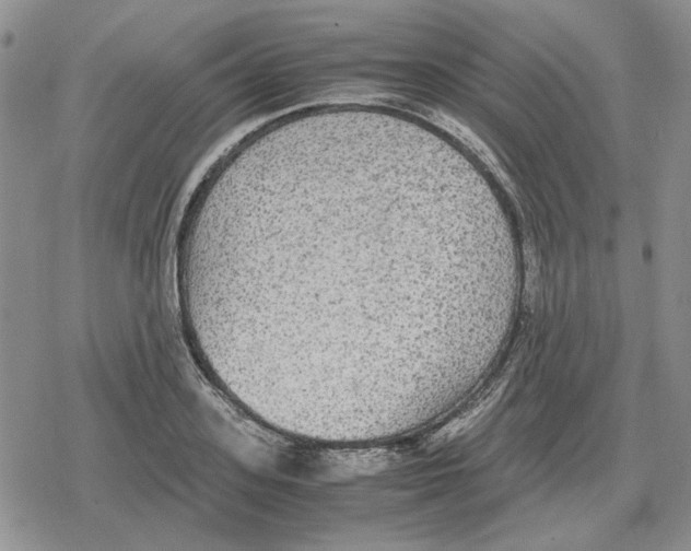 X0000079320939200612151814