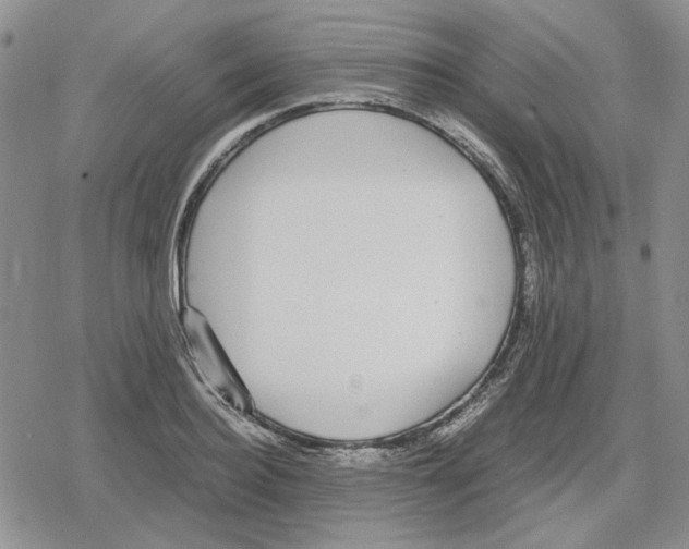 X0000079320940200612151814