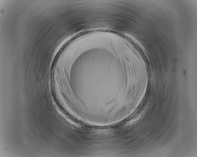 X0000079320941200612151814