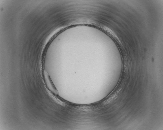 X0000079320942200612151814