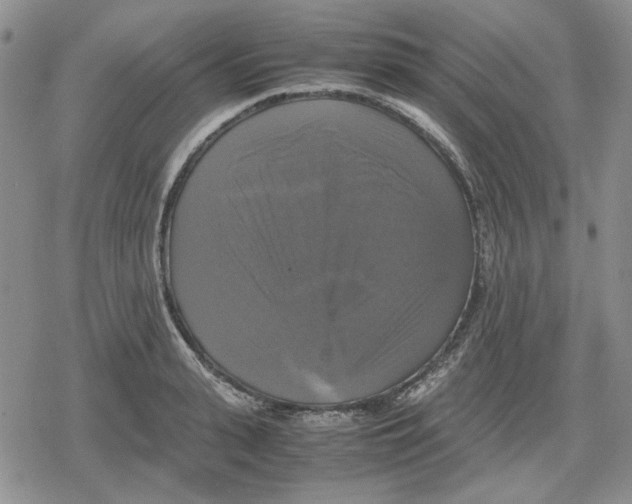 X0000079320943200612151814