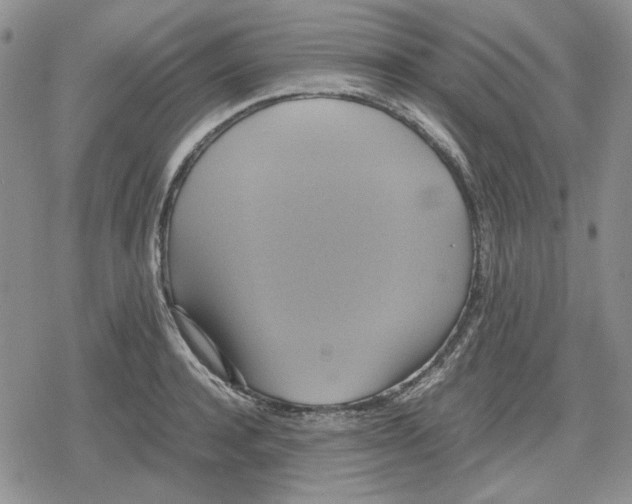 X0000079320944200612151814