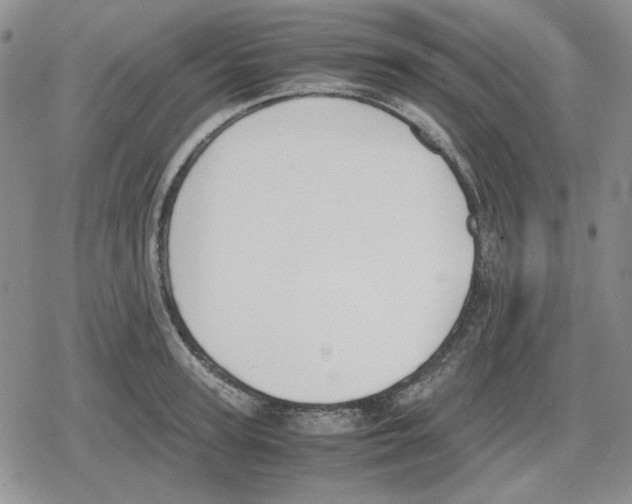 X0000079320947200612151814