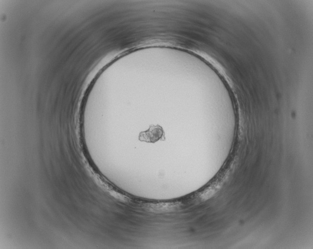 X0000079320949200612151814