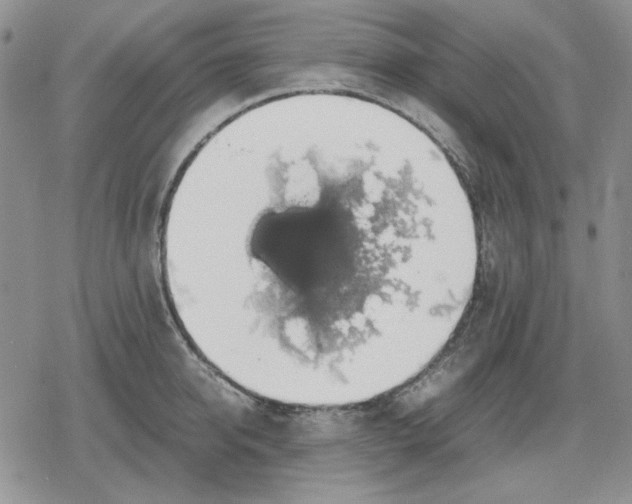 X0000079320950200612151814