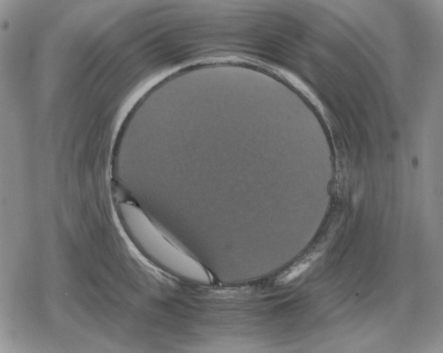 X0000079320951200612151814