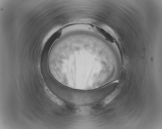 X0000079320952200612151814